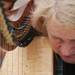 Carol Kappus plays the harp for an introduction to Scottish Country Dance on Sunday. Daniel Brenner I AnnArbor.com